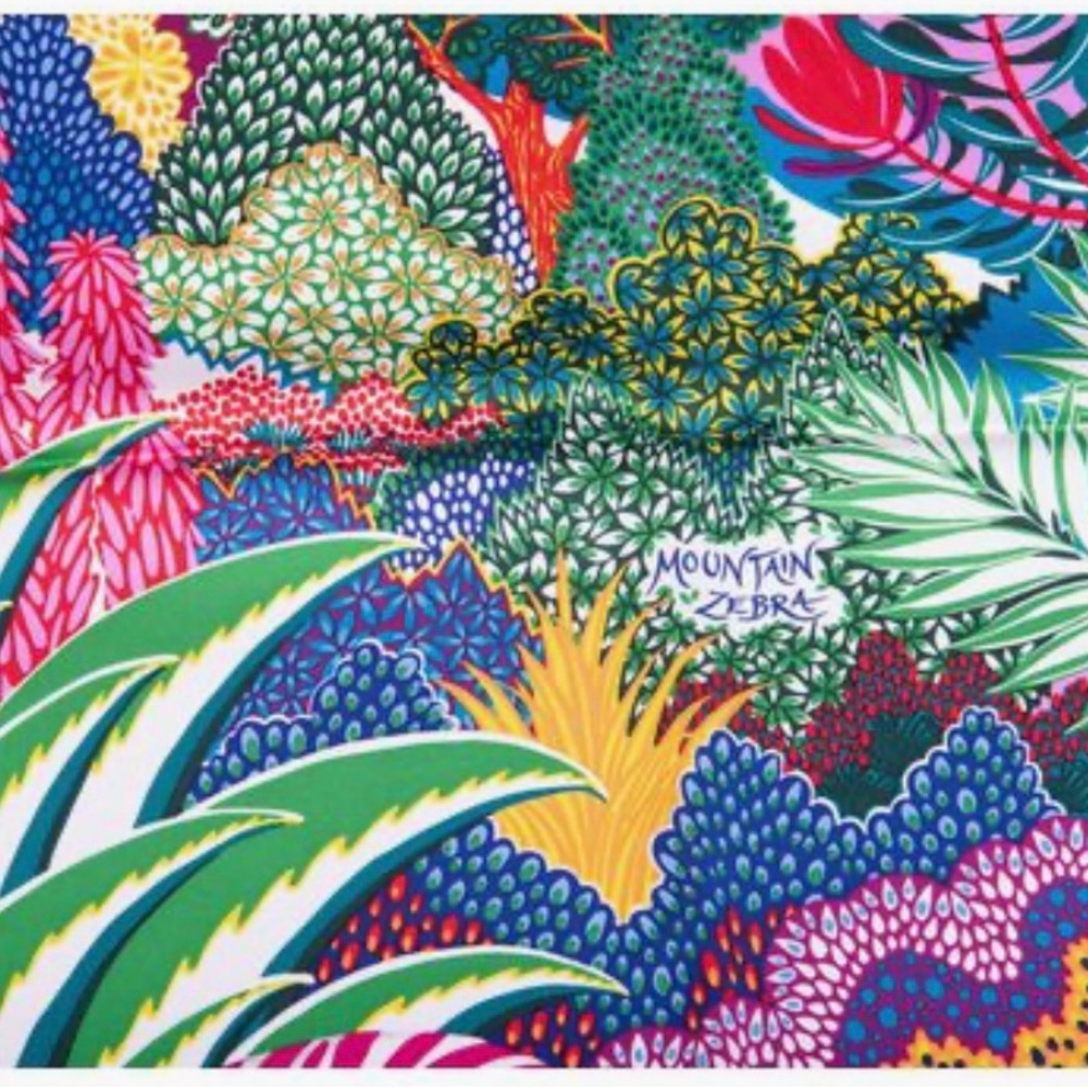 Hermès Mountain Zebra Multicolor Scarf